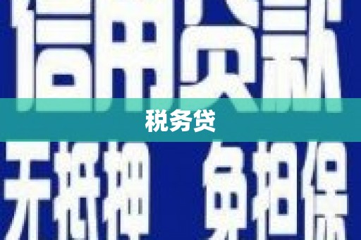 黄石港税务贷