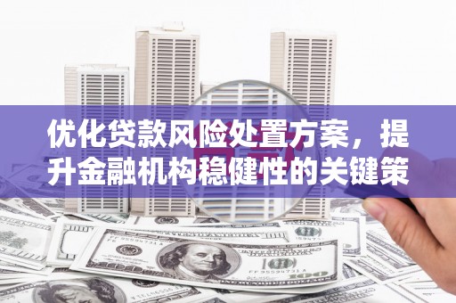 黄石港优化贷款风险处置方案，提升金融机构稳健性的关键策略