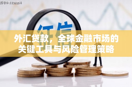 黄石港外汇贷款，全球金融市场的关键工具与风险管理策略