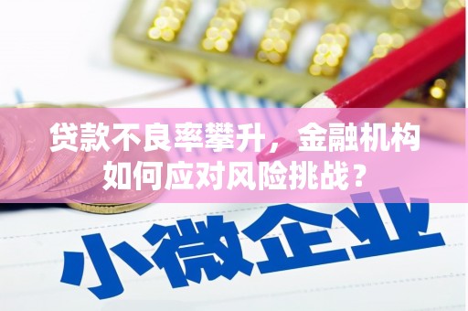 黄石港贷款不良率攀升，金融机构如何应对风险挑战？