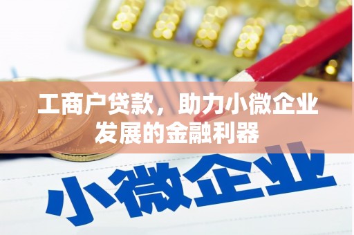 黄石港工商户贷款，助力小微企业发展的金融利器