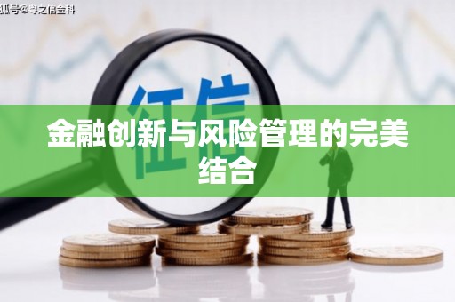黄石港金融创新与风险管理的完美结合