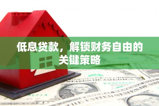 黄石港低息贷款，解锁财务自由的关键策略
