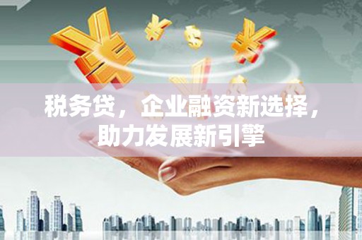 黄石港税务贷，企业融资新选择，助力发展新引擎