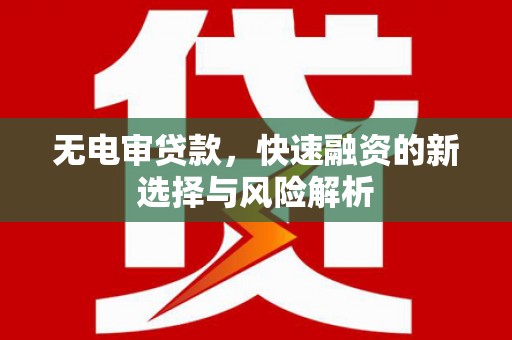 黄石港无电审贷款，快速融资的新选择与风险解析