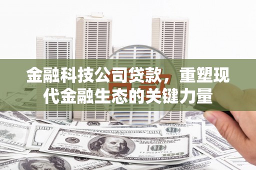 黄石港金融科技公司贷款，重塑现代金融生态的关键力量