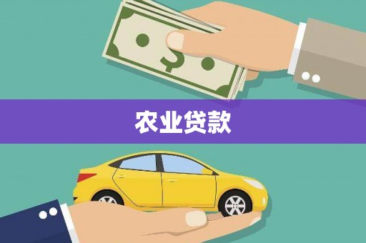 黄石港农业贷款