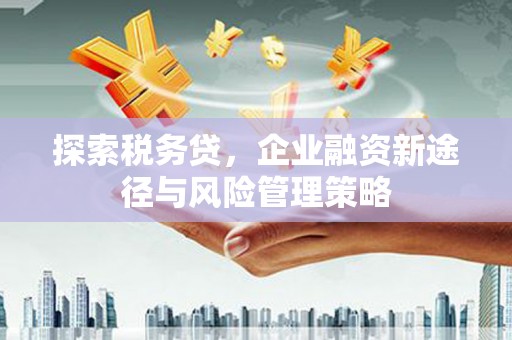 黄石港探索税务贷，企业融资新途径与风险管理策略