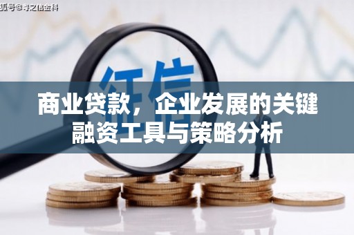 黄石港商业贷款，企业发展的关键融资工具与策略分析