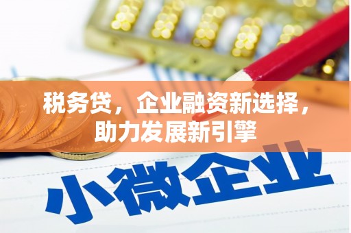 黄石港税务贷，企业融资新选择，助力发展新引擎
