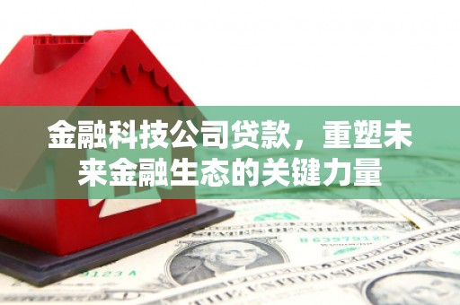 黄石港金融科技公司贷款，重塑未来金融生态的关键力量