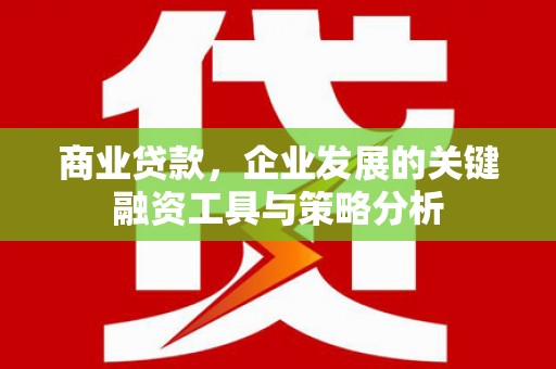 黄石港商业贷款，企业发展的关键融资工具与策略分析