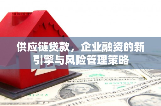 黄石港供应链贷款，企业融资的新引擎与风险管理策略