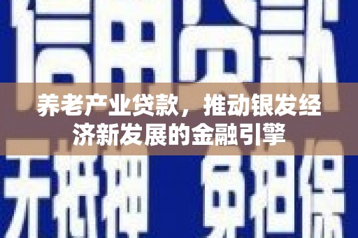 黄石港养老产业贷款，推动银发经济新发展的金融引擎