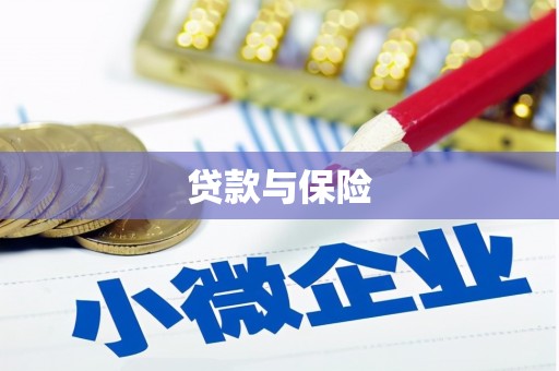黄石港贷款与保险