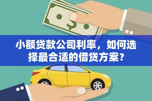 黄石港小额贷款公司利率，如何选择最合适的借贷方案？