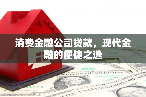 黄石港消费金融公司贷款，现代金融的便捷之选
