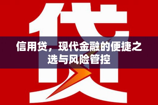 黄石港信用贷，现代金融的便捷之选与风险管控