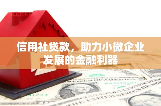 黄石港信用社贷款，助力小微企业发展的金融利器