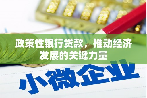 黄石港政策性银行贷款，推动经济发展的关键力量