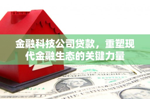 黄石港金融科技公司贷款，重塑现代金融生态的关键力量