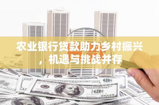 黄石港农业银行贷款助力乡村振兴，机遇与挑战并存