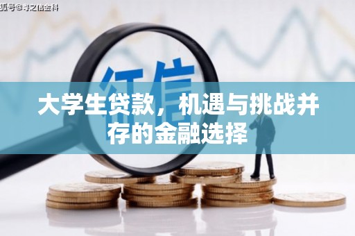 黄石港大学生贷款，机遇与挑战并存的金融选择