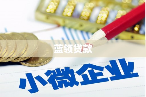 黄石港蓝领贷款