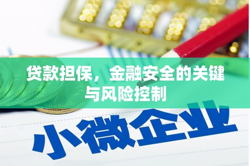 黄石港贷款担保，金融安全的关键与风险控制