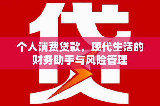 黄石港个人消费贷款，现代生活的财务助手与风险管理