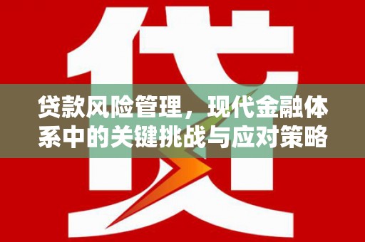 黄石港贷款风险管理，现代金融体系中的关键挑战与应对策略
