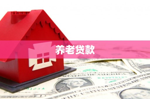 黄石港养老贷款