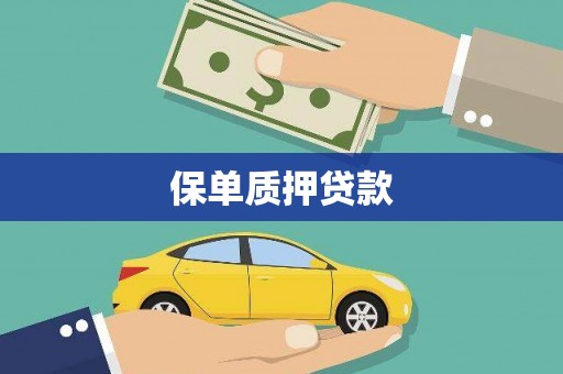 黄石港保单质押贷款