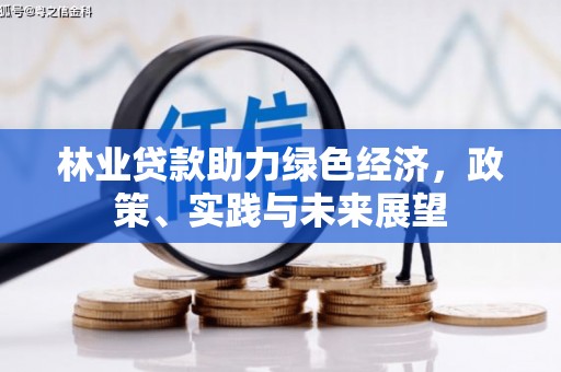 黄石港林业贷款助力绿色经济，政策、实践与未来展望