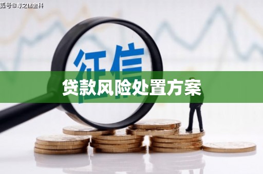 黄石港贷款风险处置方案