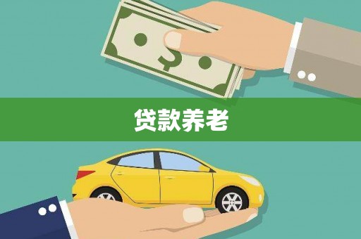 黄石港贷款养老