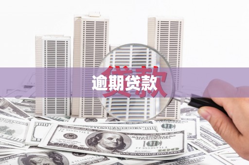 黄石港逾期贷款