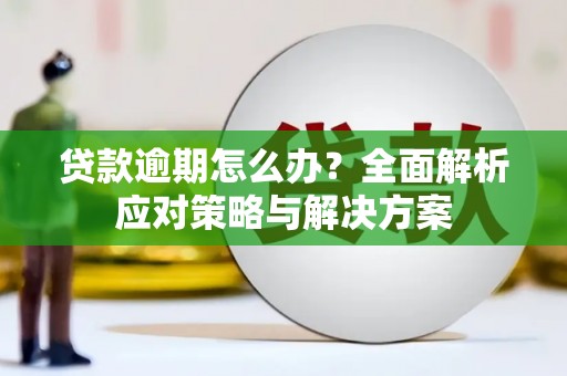 黄石港贷款逾期怎么办？全面解析应对策略与解决方案