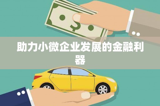 黄石港助力小微企业发展的金融利器
