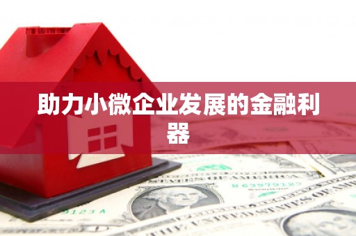 黄石港助力小微企业发展的金融利器