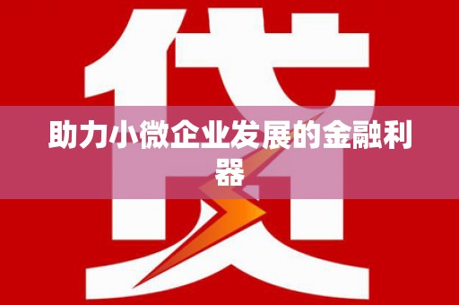 黄石港助力小微企业发展的金融利器