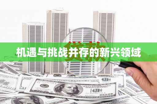 黄石港机遇与挑战并存的新兴领域