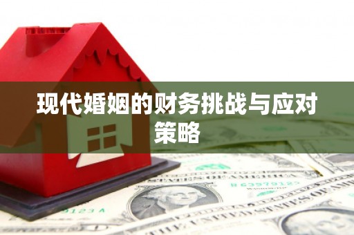 黄石港现代婚姻的财务挑战与应对策略