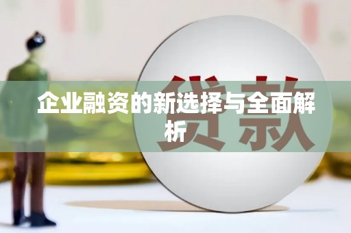 黄石港企业融资的新选择与全面解析