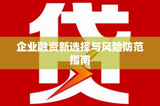 黄石港企业融资新选择与风险防范指南