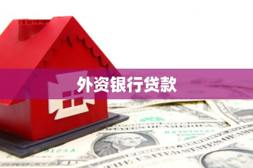 黄石港外资银行贷款