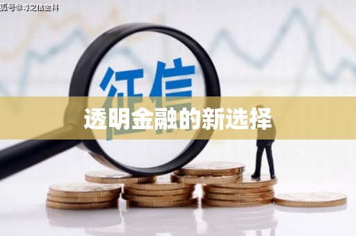 黄石港透明金融的新选择