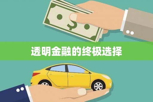 黄石港透明金融的终极选择
