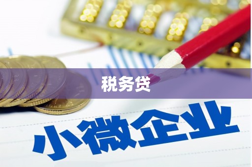 黄石港税务贷