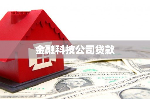 黄石港金融科技公司贷款